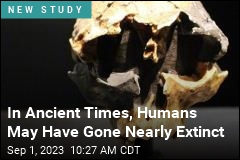 Human Ancestors May Have Nearly Died Out