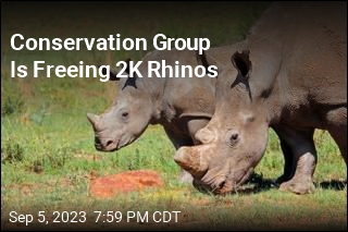 Conservation Group Is Freeing 2K Rhinos
