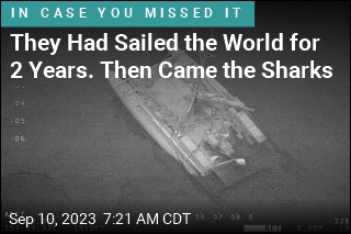 They Had Sailed the World for 2 Years. Then Came the Sharks