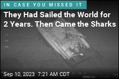 They Had Sailed the World for 2 Years. Then Came the Sharks