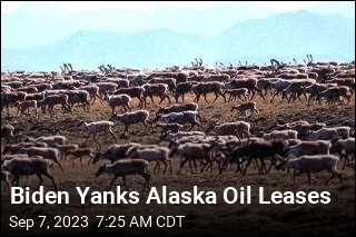 Biden Yanks Alaska Oil Leases
