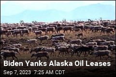 Biden Yanks Alaska Oil Leases