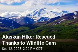 Wildlife Cam May Have Saved Alaskan Hiker