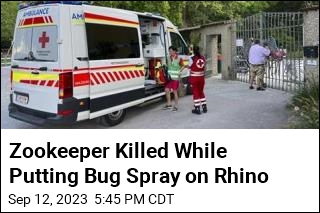 Zookeeper Killed While Putting Bug Spray on Rhino
