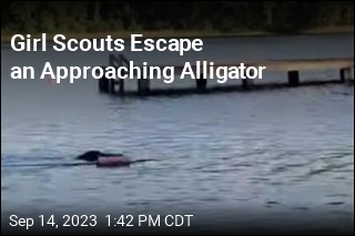Girl Scouts Survive Close Encounter With Alligator