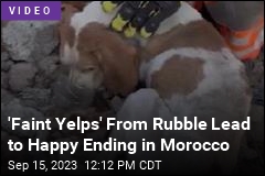 &#39;Faint Yelps&#39; From Rubble Lead to Happy Ending in Morocco