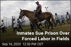 Inmates Sue Prison Over Forced Labor in Fields