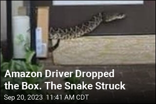 Amazon Driver &#39;Immediately&#39; Ill After Rattlesnake Bite