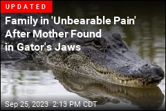 Alligator Spotted With Woman&#39;s Body in Mouth