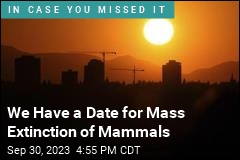 We Have a Date for Mass Extinction of Mammals