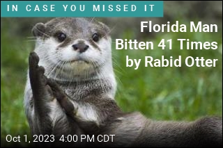 Rabid Otter Bites Florida Man 41 Times