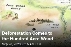 Deforestation Comes to the Hundred Acre Wood