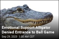 Phillies: No, Emotional Support Alligator Can&#39;t Come In