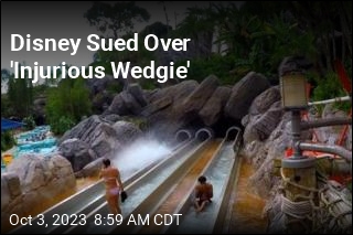 Disney Sued Over &#39;Injurious Wedgie&#39;