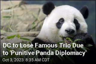 DC&#39;s Famous Panda Trio Will Soon Head Back to China
