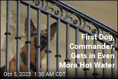 First Dog, Commander, No Longer at White House