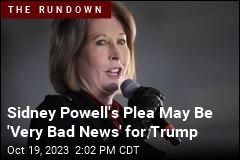 Sidney Powell&#39;s Plea May Be &#39;Very Bad News&#39; for Trump