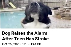 Dog Raises the Alarm After Teen Has Stroke