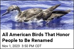 All American Birds Named for People to Lose Their Names