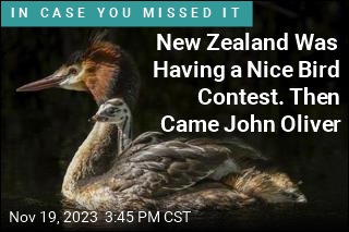 John Oliver Wrecked New Zealand&#39;s Bird of the Century Competition