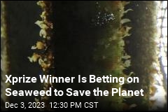 Xprize Winner Is Betting on Seaweed to Save the Planet
