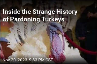 Inside the Strange History of Pardoning Turkeys