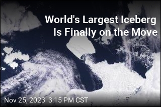 After Almost 40 Years, World&#39;s Biggest Iceberg Is Moving North