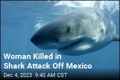 Woman Killed in Shark Attack Off Mexico