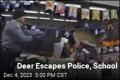 Deer Escapes Police, School