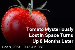 Tomato Mysteriously Lost in Space Turns Up 8 Months Later