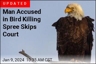 Prosecutors: Men Shot Eagles for Black Market