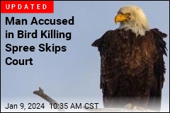 Prosecutors: Men Shot Eagles for Black Market