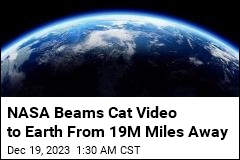 In &#39;Historic Milestone,&#39; Cat Video Beamed to Earth From Space