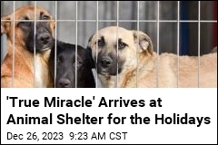 This Shelter Has No More Dogs for First Time Since the &#39;70s