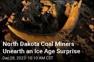 North Dakota Coal Miners Unearth an Ice Age Surprise