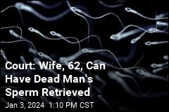 Court: Wife, 62, Can Have Dead Man&#39;s Sperm Harvested