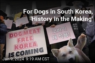 South Korea Passes Unanimous Ban on Dog Meat Sales
