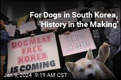 South Korea Passes Unanimous Ban on Dog Meat Sales