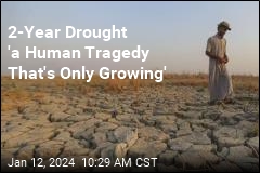 &#39;It Is a Human Tragedy That&#39;s Only Growing&#39;