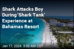 Shark Attacks Boy During &#39;Shark Tank&#39; Experience at Bahamas Resort