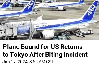 Plane Bound for US Returns to Tokyo After Biting Incident