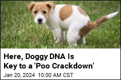 Here, Doggy DNA Is Key to a &#39;Poo Crackdown&#39;