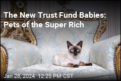 The New Trust Fund Babies: Pets of the Super Rich