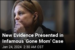 New Evidence Presented in Infamous &#39;Gone Mom&#39; Case