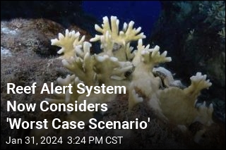 Reef Alert System Now Considers &#39;Worst Case Scenario&#39;