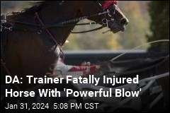 DA: Trainer Fatally Injured Horse With &#39;Powerful Blow&#39;