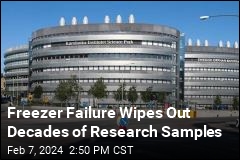 Freezer Failure Wipes Out Decades of Research Samples