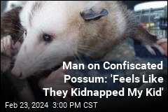 Man Tries to Get Back Possum Confiscated During Mardi Gras