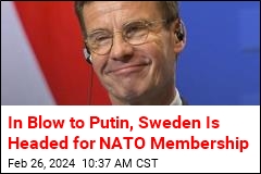 Sweden Clears Last Hurdle to NATO Membership