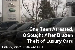 Video: Thieves Drive Off in Convoy of Stolen Luxury Cars